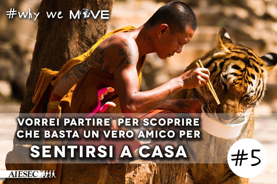 1014375_596717917079097_1403181894_n