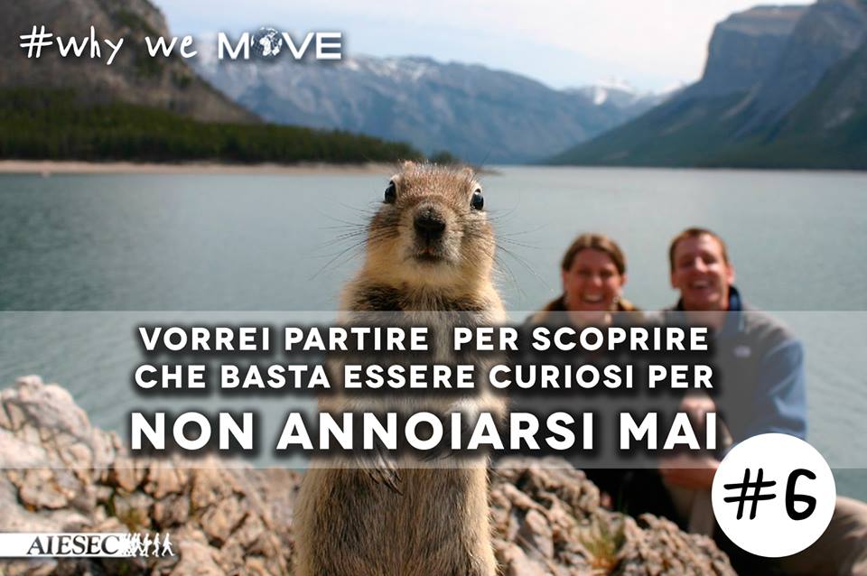 1508016_597923906958498_1656913059_n