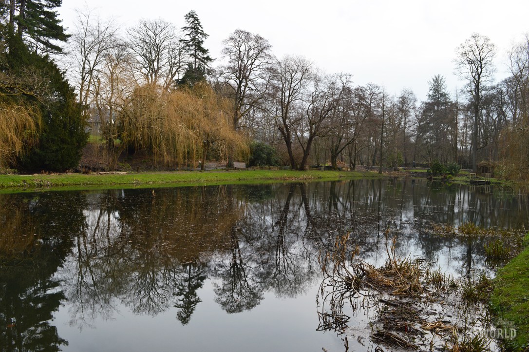 Bodnant Garden Pond