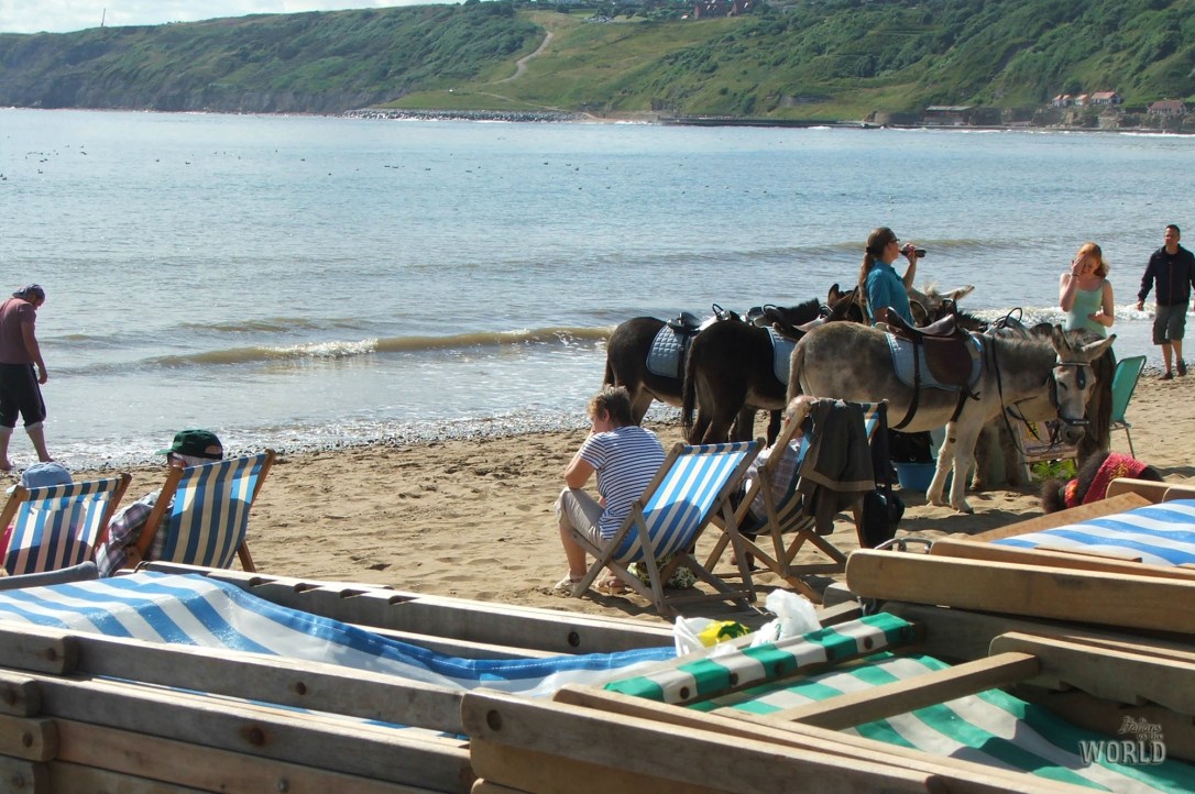 Scarborough beach