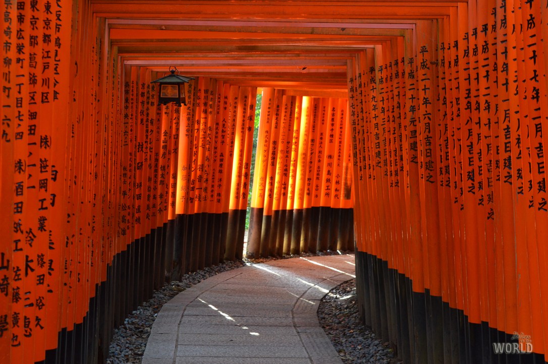 fushimi-inari