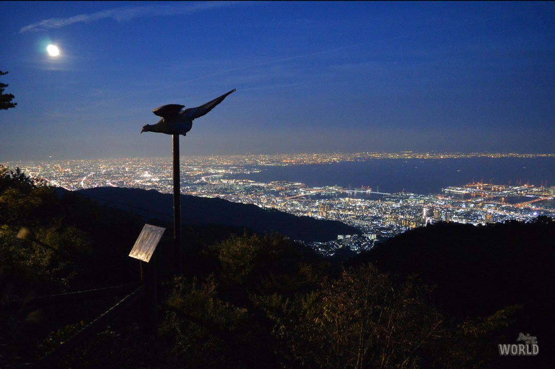 monte-rokko